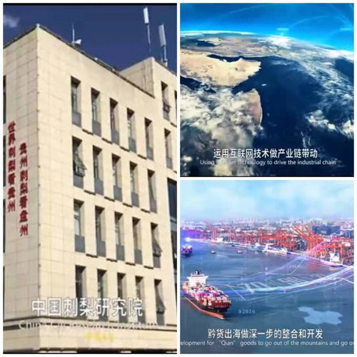 加大貴州特色產(chǎn)品出口,貴州迎貴客 貴州刺力云生物科技