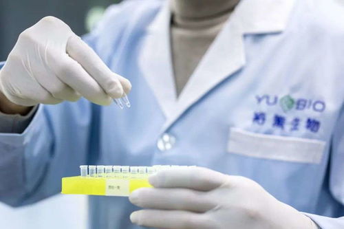 連接患者 藥企 臨床三方的橋梁, 裕策生物 打造腫瘤免疫診療整體解決方案丨生命科技